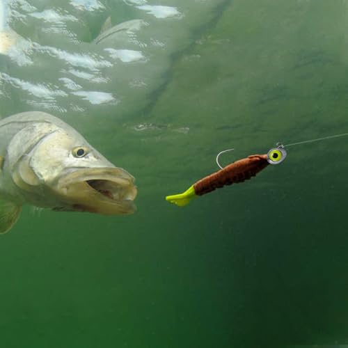 Dr.Fish 10 Pack Fishing Eyes Jigs 3D Eyes Trout Heads Bass Hook Saltwater Swimbait Jig Heads Freshwater Walleye Redfish Striper 1/2oz 3/8oz 1/4oz 3/16oz - color: Chartreuse Eyes, size: 3/8oz-Hook #4/0