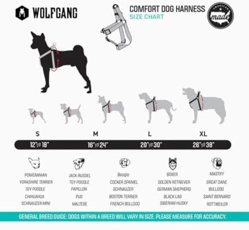 Wolfgang Heavy Duty Adjustable Dog Harness, Pull-Tested to Over 800 lbs for Walking & Training, DawnPatrol Print, Large