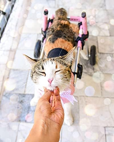 Walkin' Wheels Lightweight – for Small Cats 2 to 20 Pounds – Veterinarian Approved – Cat Wheelchair for Back Legs, for Cats 11-20 lbs, 9-13 inches Leg Height – Blue