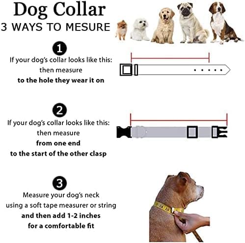 Roses&Poetry Reflective Dog Collar with Gradient Violet, Adjustable Durable Pet Collars for Small Medium Large Dogs (Violet-XS)