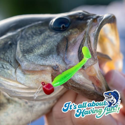 Soft Fishing Lures, 6.5cm/8cm Paddle Tail Swimbaits Soft Plastic Lures Kit for Bass Trout Walleye Crappie 30pcs/40pcs… - color: B-7.5cm/2.95-30pcs