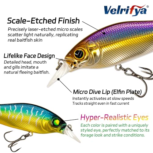 Flat Sided Japanese-Style Crankbait Elfin Shad – Medium Diving Bass Fishing Lure, Hard Bait Shad Crankbait for Freshwater Velrifya - color: 03-Neon Perch