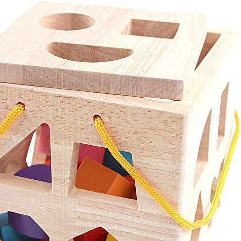 QZMTOY Shape Sorter Toys with 19 Shape Blocks, Classic Wooden Toys for Toddlers Kids, Gift for Girls Boys 2-4 (Natural Solid Wood)
