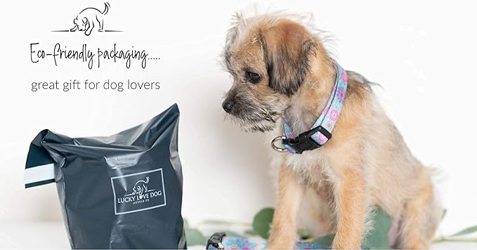 Lucky Love Dog - Adjustable Dog Collar with Easy Click Buckle for Medium, Durable, & Comfortable for Male & Female Dogs, Pet Collar for Puppies & Adult Dogs - Clara, Medium