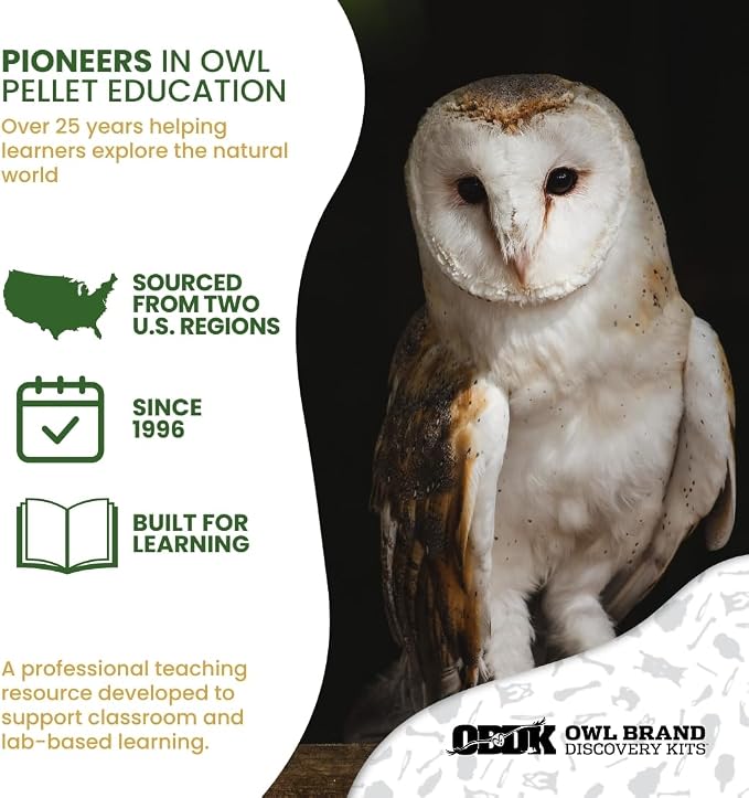 Barn Owl Pellets for Dissection for Classrooms, Small 20-Pack Kit by OBDK | Forceps, picks and instructor guide included, life science and ecology, bone sorting chart, hands-on lab activity