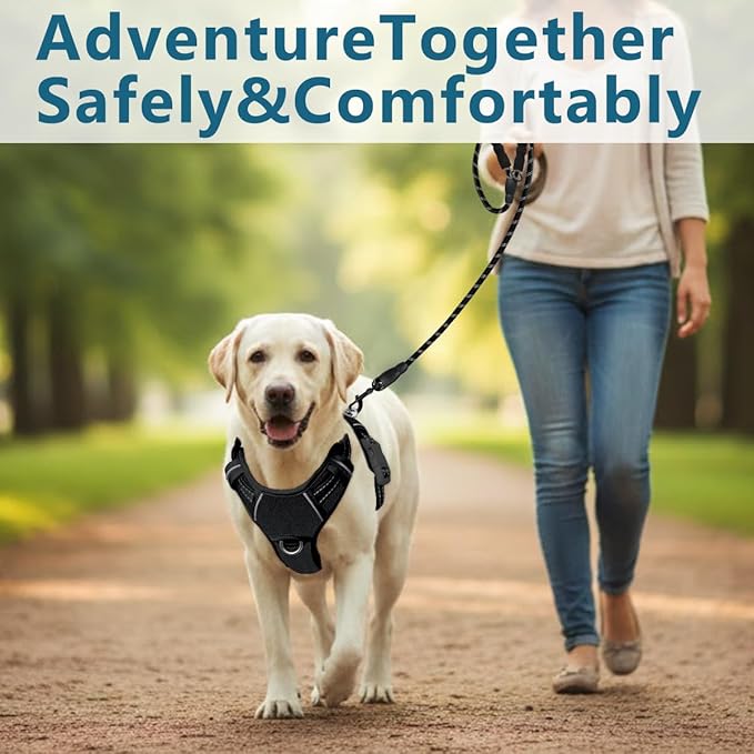 BARKBAY Dog Harness No Pull Oxford with ID Tag Pocket - Heavy Duty, Reflective, Easy Control for Large Dogs(Black Oxford,M)