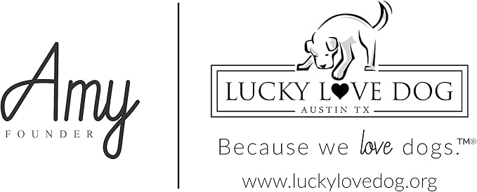 Lucky Love Dog - Adjustable Dog Collar with Easy Click Buckle for Medium Dogs, Durable, & Comfortable for Male & Female Dogs, Pet Collar for Puppies & Adult Ones - Carriebelle, Medium