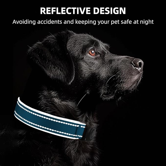 Airtag Dog Collar - 100% Waterproof Air tag Dog Collar Holder for Apple AirTag, Reflective, Soft Padded, Everlasting, GPS Dog Collar for Small Medium Large Dogs (Blue, M)