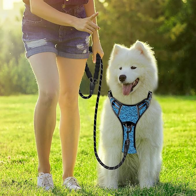 BARKBAY Dog Harness No Pull with ID Tag Pocket - Heavy Duty, Reflective, Easy Control for Small Dogs(Blue/Black,S)