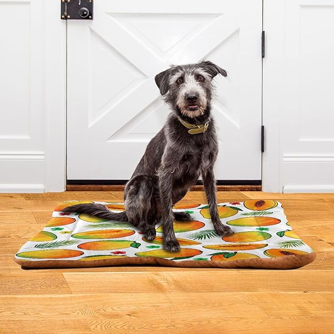 Mango Fruit Dog Beds Crate Pad Washable Pet Mat for Dogs Cats, Non-Slip Travel Bed Pad, Indoor Outdoor Kennel Pad 36x24in