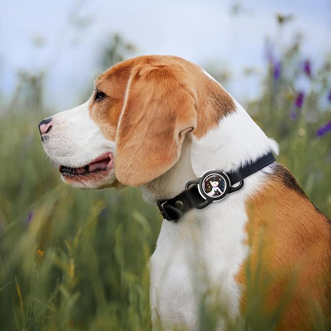 Waterproof Dog Collar Holder, Silicone & ABS Holder for Dog & Cat Collars, Ultra-Durable, Lightweight and Protective Case (Black&Black-1, Regular)