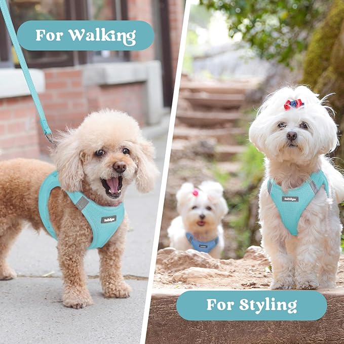 rabbitgoo Small Dog Harness, Step-in Soft Mesh Puppy Vest with Safety Buckle, Breathable Reflective Pet Harness for Small Sized Dogs, Mint Blue M