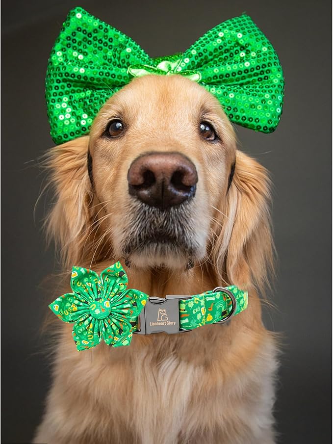 Lionheart glory St. Patrick's Day Dog Collar with Flower Dog Collars for Small Dogs, Heavy Duty Green Collars Bows Lucky Clover Shamrock Pet Collar Flower Puppy