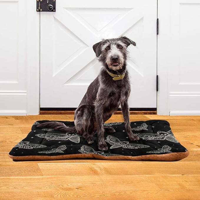 Gothic Skull Butterfly Moth Pet Bed Cute Dog Bed Mat Absorbing Non Slip Pad Pet Sleeping Mat for Small, Medium, and Large Dogs Puppy Cat 24 in x 18 in