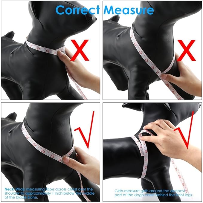 QQPETS Dog Harness Leash Set Adjustable Heavy Duty No Pull Halter Harnesses for Small Medium Large Breed Dogs Back Clip Anti-Twist Perfect for Walking (XS(12"-18" Chest Girth), Bone)