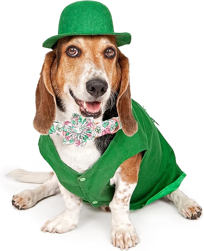 Lionheart glory St. Patrick's Day Dog Collar with Flower Dog Collars for Large Dogs, Heavy Duty Green Collars Lucky Clover Shamrock Dogs Collar Flower Puppy