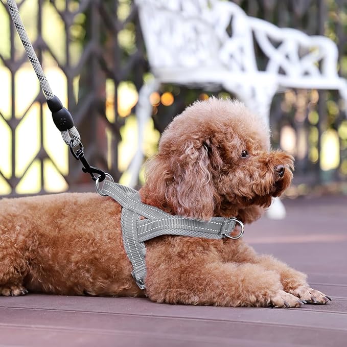 Plutus Pet No Pull Dog Harness with Breathable Mesh Padded, Adjustable Reflective Escape Proof Dog Harness, Quick Fit Dog Vest Harness for Small Medium Large Dogs(S, Gray)