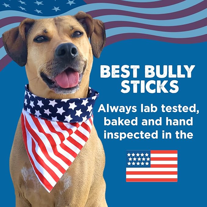 Best Bully Sticks 6 Inch Bully Sticks for Dogs - 5 Count (Pack of 1) - Natural, Easily Digestible, Grass-Fed Beef, Grain and Rawhide Free - Trial Size