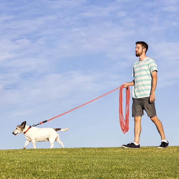 Long Dog Leash for Training 20Ft-Reflective Nylon Rope with Swivel Hook-Recall Agility Lead for Large Small Medium Dogs Outside Walking Hiking-Orange