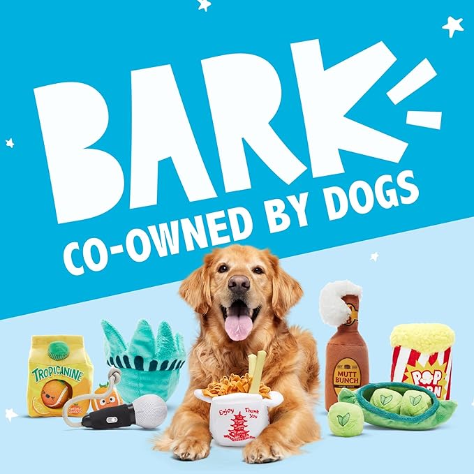 Barkbox Dog Toy 2 in 1 Interactive, Plush Exterior with Squeaker & Textured Material, Tearable Dog Toy with Squeaky Spikey Ball Inside, Ideal for Toy Destroyers - Monsieur Acorn, Large