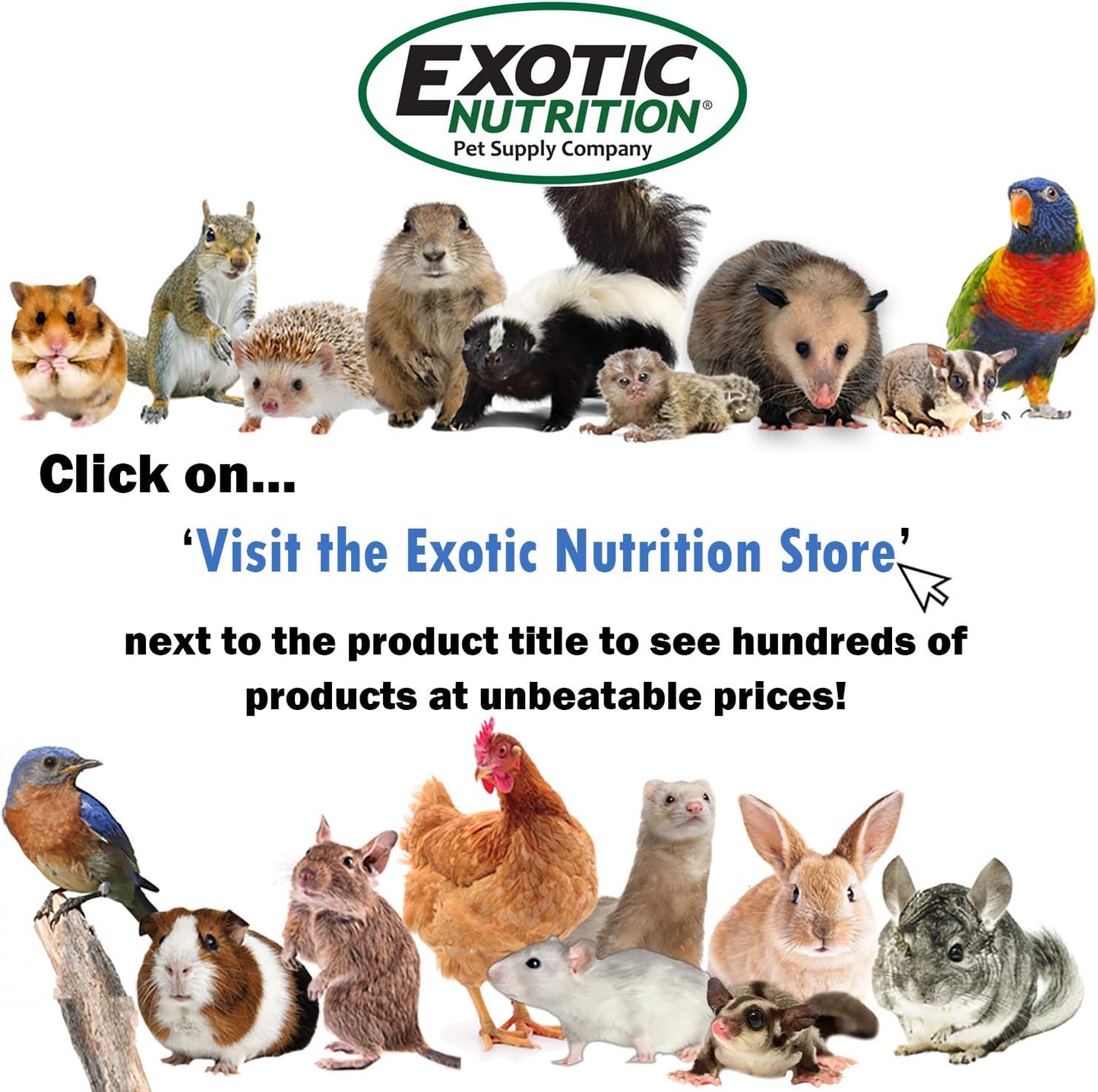 Chinchilla Booster (2 oz.) - Complete Multivitamin - Powdered Vitamin & Mineral Supplement for Pet Chinchillas