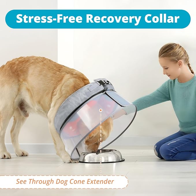 Inflatable Dog Cone with Transparent Shield, Protective Dog Donut Collar After Surgery to Stop Licking, Soft Donut Cone for Small Pets, Adjustable Recovery Collar with Buckle Visibility