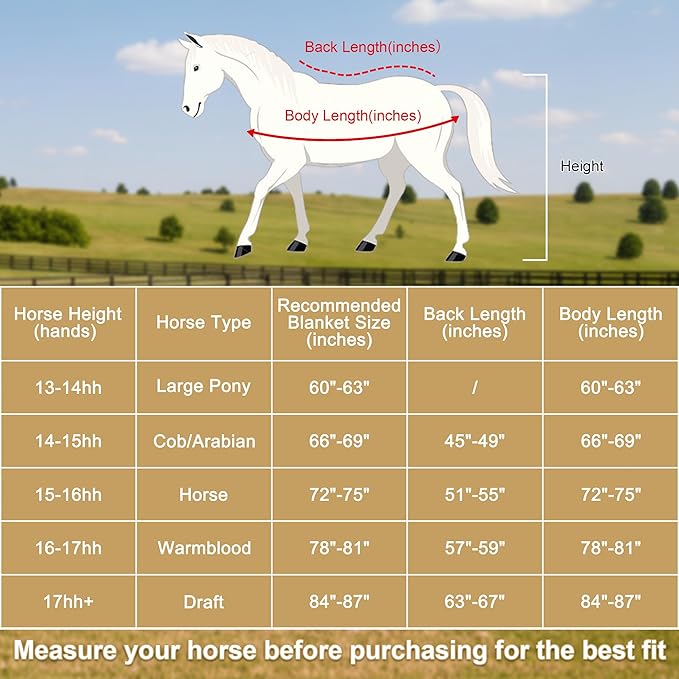 Horse Fleece Cooler, Blanket Liner - 300g Anti-Pilling Fleece, Moisture-Wicking, Cooling & Drying for Post-Workout, Bath & Travel, Prevent Overheating & Chilling Lightblue 84
