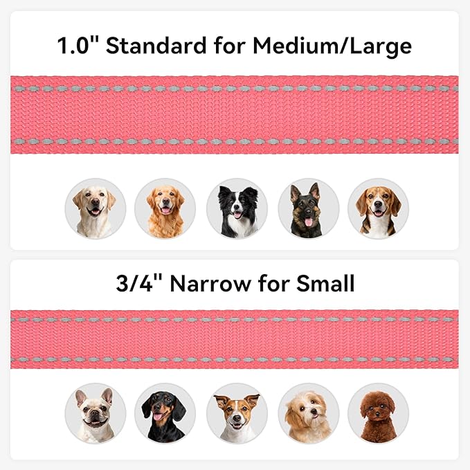 Joytale Dog Leash, 6 FT Double-Sided Reflective, Padded Handle Nylon Heavy Duty Leashes for Medium & Large Dogs Walking, Neon Pink