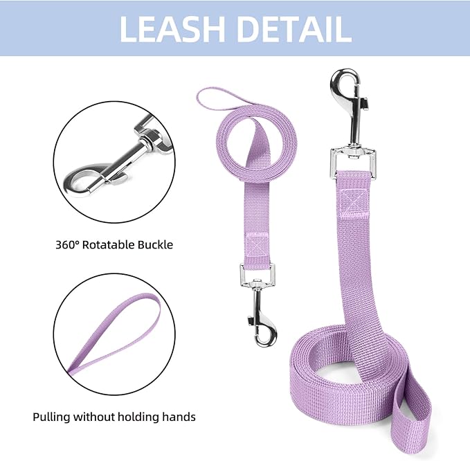 Small Dog Harness and Leash Set, Breathable Mesh Puppy Harness, Adjustable Dog Harness for Small Medium Large Dogs, No-Pull Pet Harness for Daily Walking (Blue, Small)