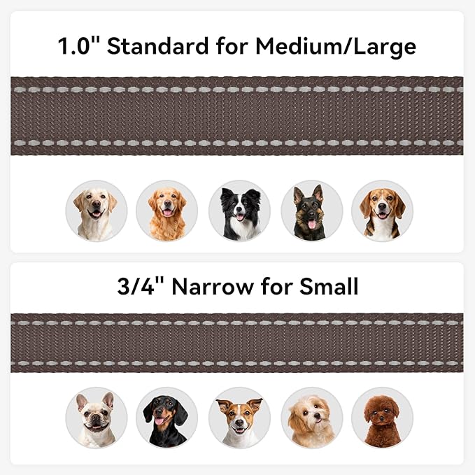 Joytale Double-Sided Reflective Dog Leash, 4 FT, Padded Handle Nylon Heavy Duty Leashes for Small & Medium Dogs Walking, Brown