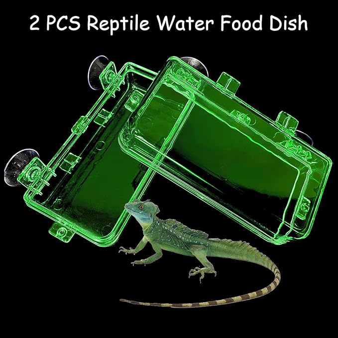 Tfwadmx 2 Pcs Reptile Feeder Chameleon Bowl Water Dish with Suction Cup Gecko Worm Feeder Anti-Escape Chameleon Supplies Accessories for Iguana Lizard Bearded Dragon Snakes (Green,L)