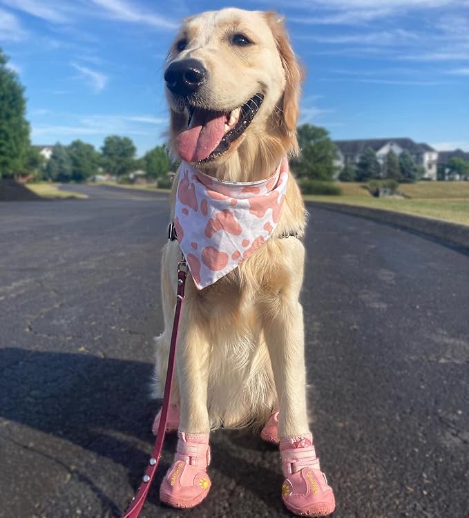 QUMY Dog Shoes for Large Dogs, Medium Dog Boots & Paw Protectors for Winter Snowy Day, Summer Hot Pavement, Waterproof in Rainy Weather, Outdoor Walking, Indoor Hardfloors Anti Slip Sole Pink 3