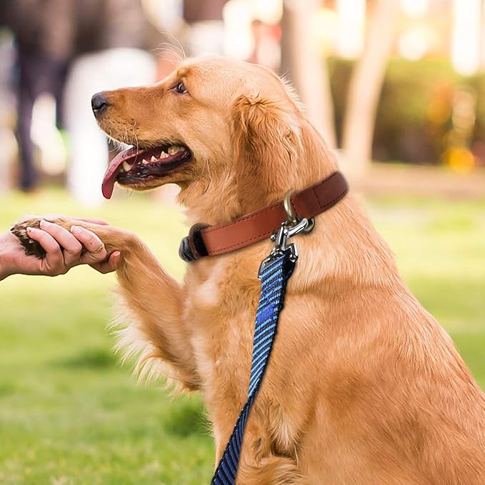 Hi Kiss Dog/Puppy Obedience Recall Training Agility Lead - 15ft 20ft 30ft 50ft 100ft Training Leash - Great for Training, Play, Camping, or Backyard(100ft,Black_Blue)