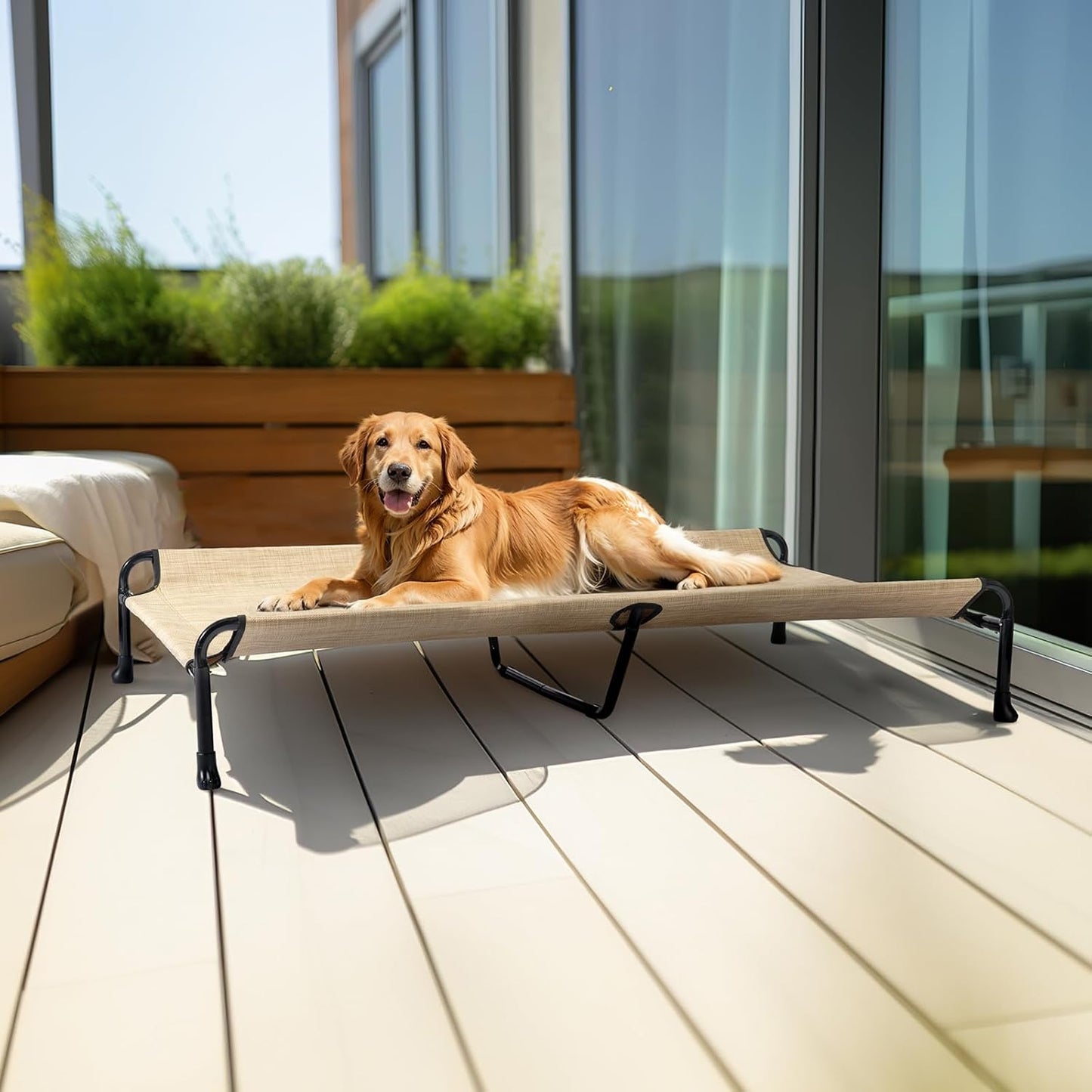 Veehoo Cooling Elevated Dog Bed - Raised for Large Dogs, Outdoor With Guardrail, Upgraded Non-Slip Feet, Breathable Teslin Mesh, Portable Camping Cot, 53 x 33 Inches, Beige Coffee