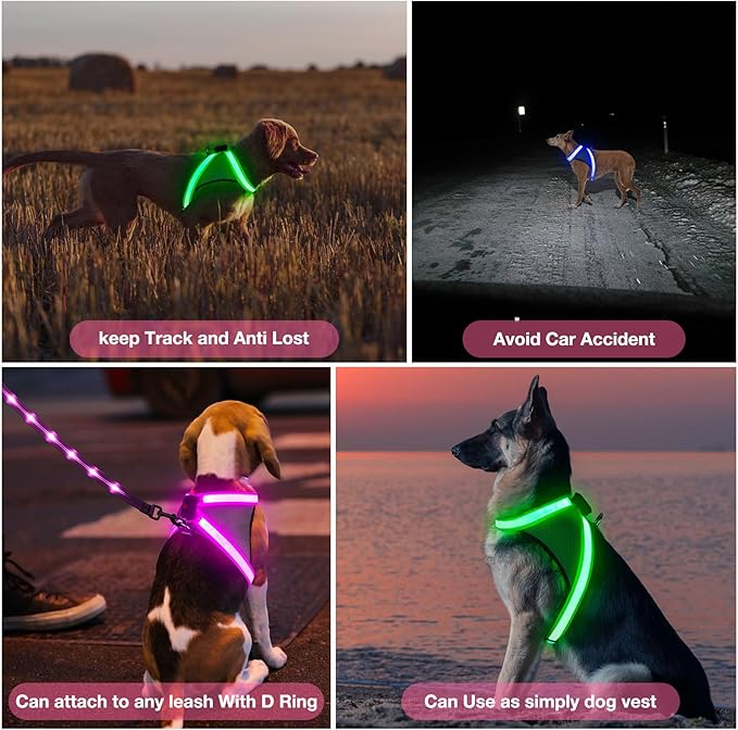 ChalkLit Light Up Dog Harness, No Pull Led Dog Harness Glow-in-The-Dark for Night Walking, USB Rechargeable Lighted Safety Vest for Small Dogs, Adjustable Soft Mesh Fully Illuminated (Pink, Small)