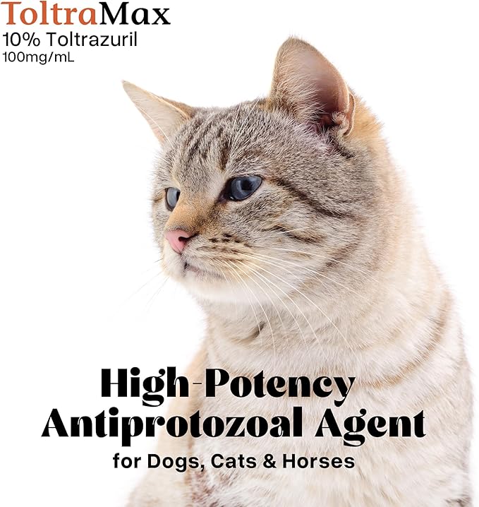 Toltrazuril 10.0% for Horses, Dogs, Cats, 240mL/8 Ounce, for Non-Food Chain Animals, Chicken