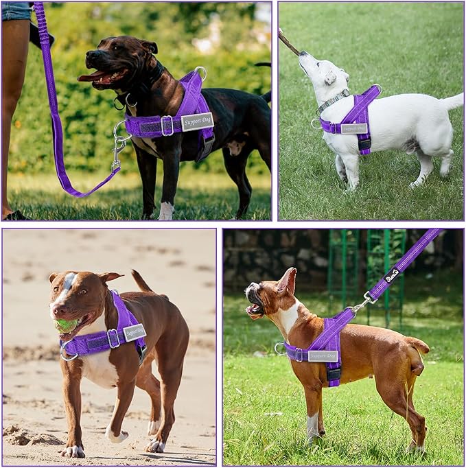 SlowTon No Pull Dog Harness - Heavy Duty Dog Harness and Leash Set for Medium Large Dogs, Reflective Tactical Harness with Soft Padded and Front Clip for Easy Walk and Training (PU, S)