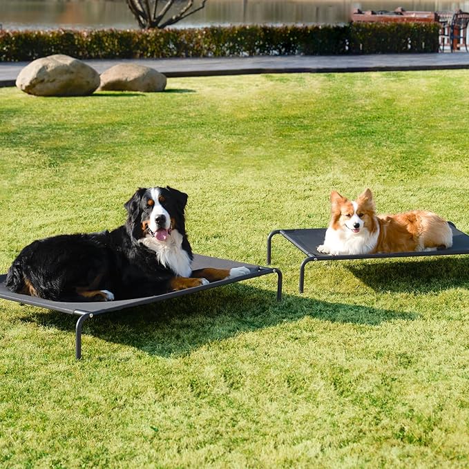 EHEYCIGA Elevated XL Dog Cot Bed, Raised Outdoor Dog Hammock for Extra Large XLarge Dogs, Lifted Pet Platform with Frame and Washable Waterproof Cooling Teslin Mesh and Anti-Slip Feet, 48x32 inch