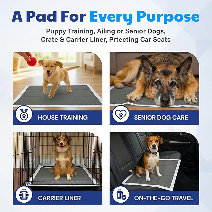American Kennel Club Carbon-Activated Puppy Training Pads – 50 Count, 28 x 30, XL