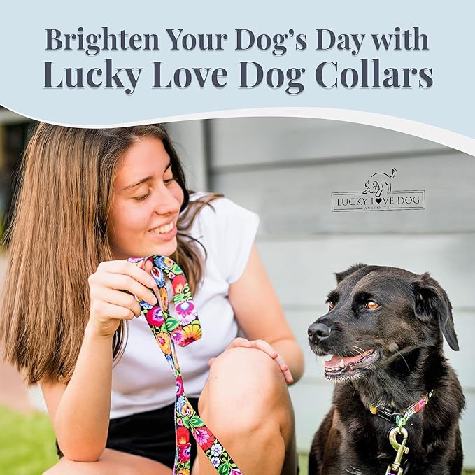 Lucky Love Dog - Easy Click Buckle Dog Collar with Leash Set Combo, Durable & Comfortable for Male & Female Dogs, Pet Collar for Large Dogs, Secure Fit - Blackbird Combo, Large