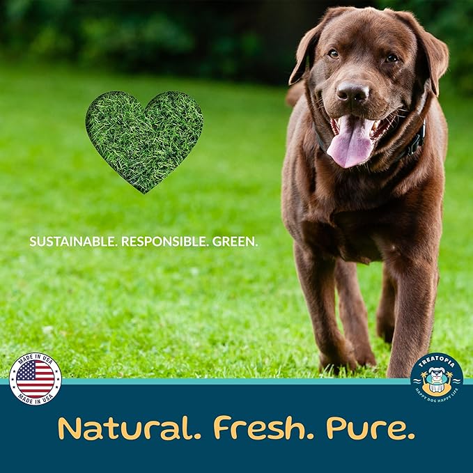 TREATOPIA Beef Lung Nuggies Dog Treats – Single Ingredient, High Protein, Low Odor, Natural Crunchy Training Treats for Dogs – USA Sourced, Grain-Free, All-Natural (4 lb Bag)