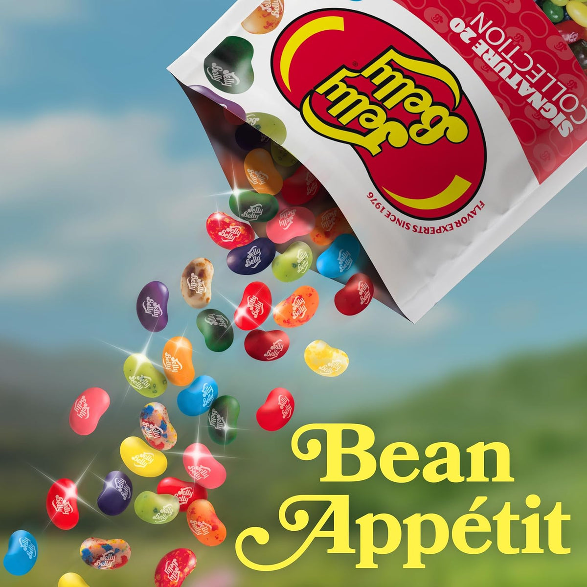 Jelly Belly Signature 40 Jelly Bean Collection - 1 Pound (16 Ounces) Resealable Bag - Genuine, Official, Straight from the Source
