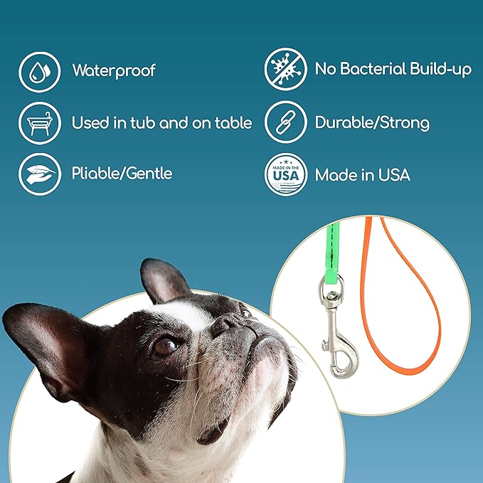 Jelly Pet Grooming Lead for Dogs | Great for Kennels, Veterinarians and Dog Grooming Salons | Biothane Leash - Easy to Clean, Waterproof & Durable Noose Loop | Made in USA | 3/8'' x 4' Royal Blue