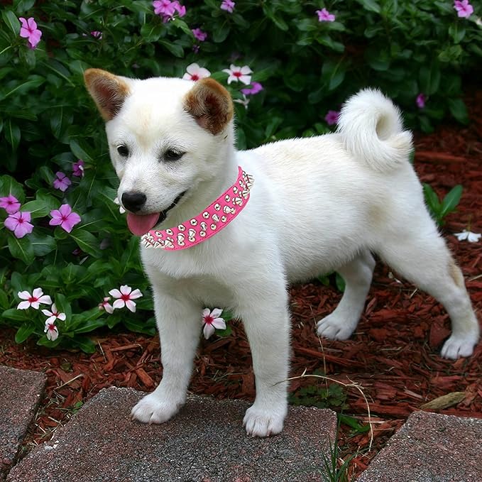TEEMERRYCA Adjustable PU Leather Spiked Studded Dog Collars with a Squeak Ball Gift for Small Medium Large Pets Like Cats/Pit Bull/Bulldog/Pugs/Husky, Hot Pink, M 12"-15"
