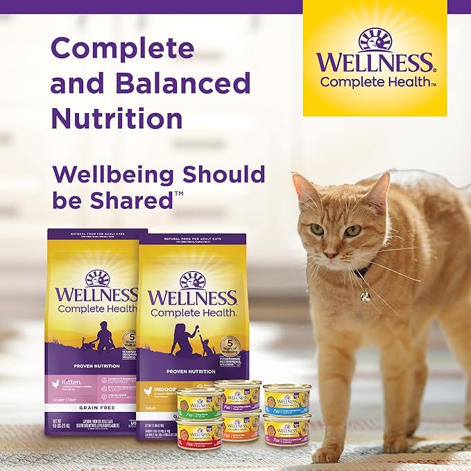 Wellness Complete Health Pate Kitten Wet Cat Food Canned Food, Natural, Protein-Rich, Grain Free, 3 Ounce Cans, 24 Pack, (Whitefish & Tuna)