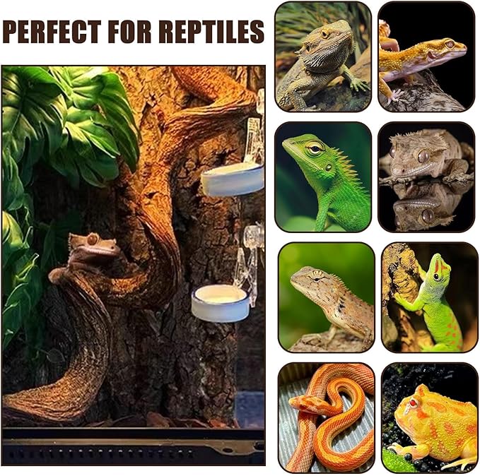 BNOSDM 2PCS Natural Reptile Climbing Branches Decor,1.8-2.2" Thick Natural Snake Climbing Forest Wood with Plant Leaf Decor,Lizard Forest Branch,Geckos Tank Tree Trunk Accessories for Bearded Dragons