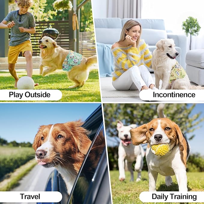 Washable Male Dog Diapers Reusable, Premium Belly Bands for Male Dogs, Pack of 3, High Absorbing Extra Extra Large Male Dog Pee Wraps for Puppy in Incontinence or Excitable Urination and Training(XXL)