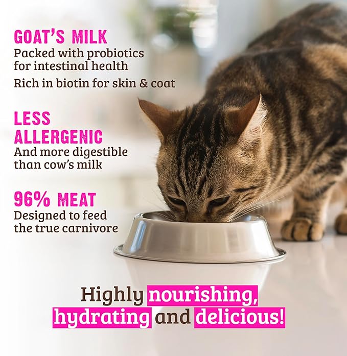 Rawz Natural Premium Pate Canned Cat Wet Food - Made with Real Meat Ingredients No BPA or Gums - 5.5oz Cans 24 Count (Rabbit with Goats Milk)