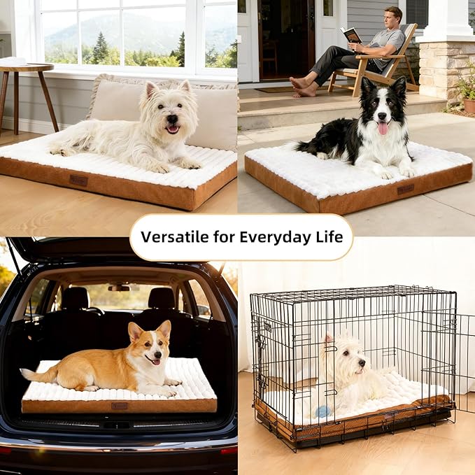 Orthopedic Dog Bed with Firm High-Density Egg Crate Foam,Soft Short Plush Surface Pet Beds,Machine Washable with Removable Cover & Non-Slip Bottom for Medium & Large Breeds (Brown, 35"L x 22"W x 3"H)