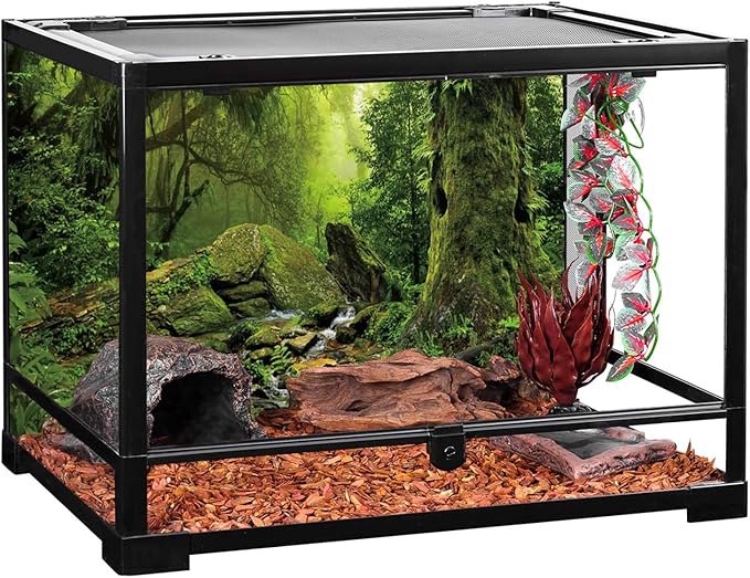 AWERT Tropical Forest Terrarium Background Stream Green Huge Tree Reptile Habitat Background Foggy Rainforest Aquarium Background 48x18 inches Durable Polyester Background